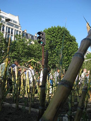 Champs-Elysees-Nature-Capital-Jardin-geant 4859