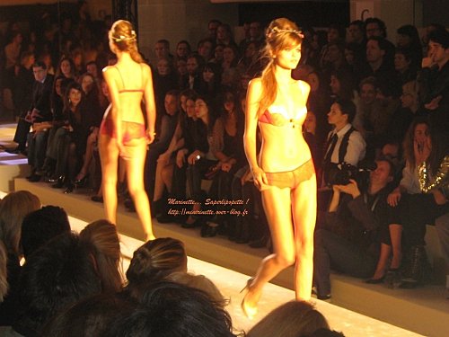 Defile etam lingerie 2010 28