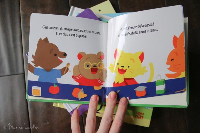 livres-enfants-langue-au-chat