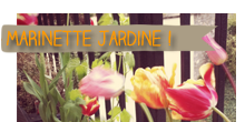 Catégorie Jardin