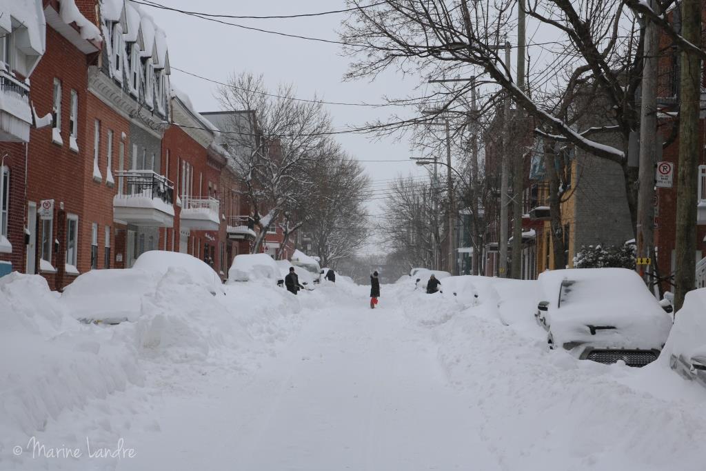 Une bonne bordee de neige à Montreal avec Stella ! - Marinette ...